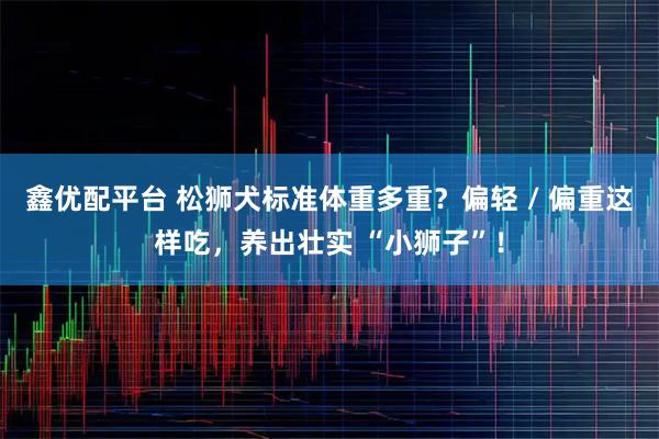 鑫优配平台 松狮犬标准体重多重？偏轻 / 偏重这样吃，养出壮实 “小狮子”！