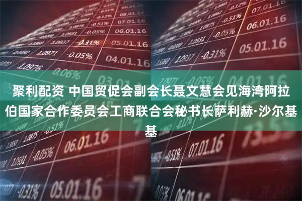 聚利配资 中国贸促会副会长聂文慧会见海湾阿拉伯国家合作委员会工商联合会秘书长萨利赫·沙尔基
